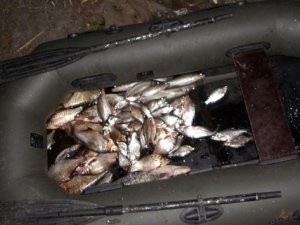 Фото: На Полтавщині чоловік порибалив на 18 тисяч