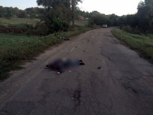 Фото: На Полтавщині на смерть збили трьох пішоходів