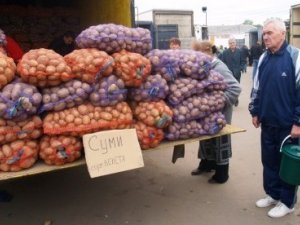 Фото: "Картопляної паніки" у Полтаві ще немає