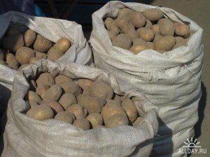 Фото: У Полтаві безробітний вкрав 8 мішків картоплі