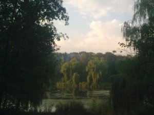 Дендропарк у Полтаві взяли під патронат "регіонали"