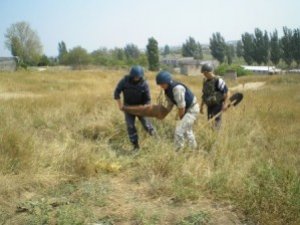 У Полтаві  знайшли мінометну міну часів ВВВ