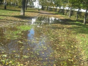 Фото: У Корпусному парку Полтави утворилось невелике болото