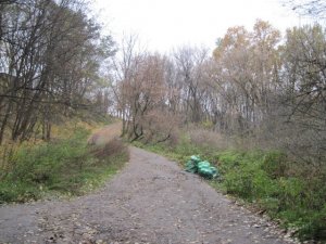 Фото: У Полтаві дендропарк гине від сміття