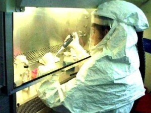 Фото: Вірус свинячого грипу мутував. Є перші жертви.