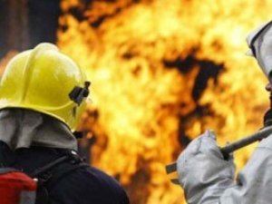У жителя Полтавського району в пожежі загинуло домашньої птиці на 10 тисяч гривень