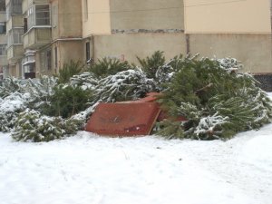 У Полтаві разом з ялинками викидають меблі