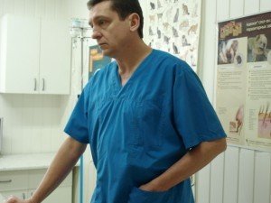 Через новий закон лікувати тварин у Полтаві стане дорого і жорстоко