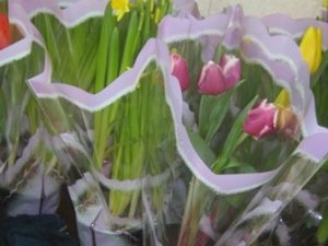 Фото: Наближається 8 березня: квіти у Полтаві від 12 гривень за квітку до 300 гривень за букет