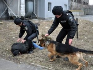 Фото: У Полтаві охоронці з собакою піймали двох крадіїв