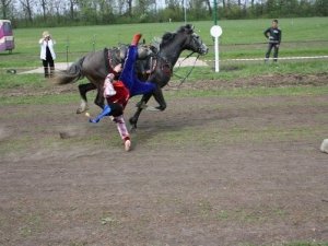 Фото: У кінних перегонах на Полтавщині перемогла Радість