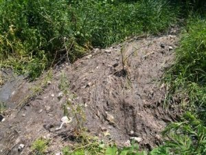 Фото: Витоку каналізаційних вод у полтавські озера не було
