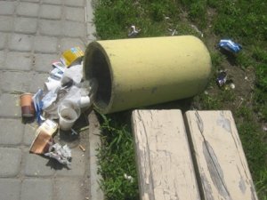 Фото: У Полтаві вандали розгромили  урни для сміття