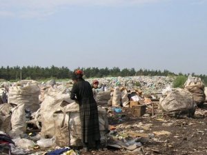 СЕС про полтавське сміттєзвалище: катастрофи нема, але паркан потрібен