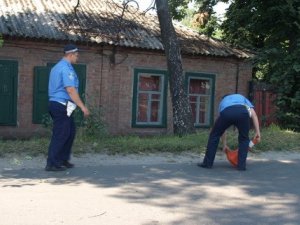 Фото: У Полтаві автомобіль привалило стовпом