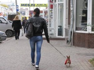 Як у Полтаві літають чотирилапі