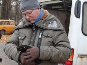 У Полтаву привезли птахів, які несуть яйця без холестерину