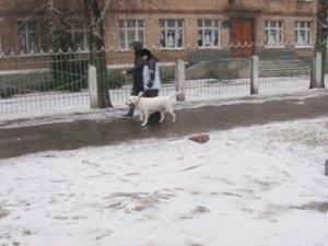 Біля полтавської школи відкритий люк чатує на необачних