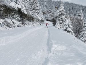 Фото: Сьогодні дізнайся, якою буде наступна зима