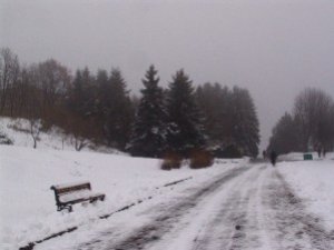 Фото: За погодою сьогодні дізнайся, чи будуть ще морози