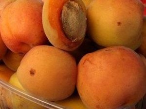 Полтавці залишаться без абрикос, черешень та винограду