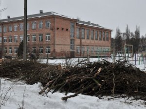 У Полтаві рубають тополі, люди протестують