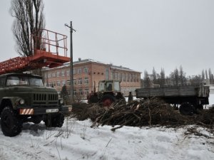 Фото: У Полтаві рубають тополі, люди протестують