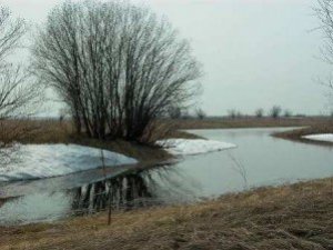 Фото: Гарна погода сьогодні – до морозів