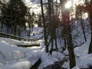 Фото: Яка погода буде у Полтаві в останній день лютого