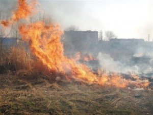 У Полтаві гасили чотири пожежі