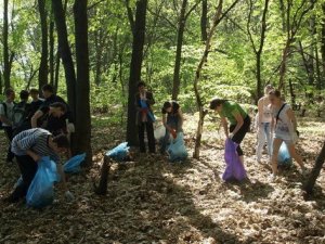 Півтисячі полтавських школярів прибирали в дендропарку