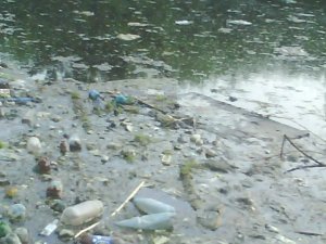 Полтавський ставок закидали пластиковими бляшанками