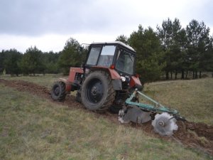 Під Полтавою горять ліси