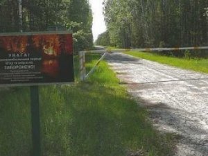 Полтавцям заборонять відвідувати ліси