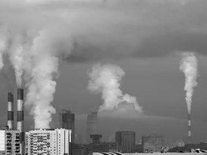 Нове опитування: Що найшкідливіше для організму?