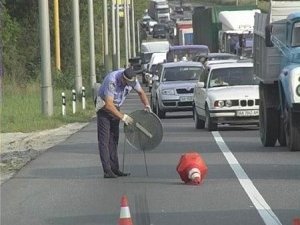 Біля полтавської школи легковик збив дівчину