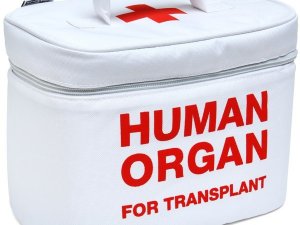 Фото: Донорство: органів не вистачає, а бажаючі пожертвувати не знають, куди звернутися