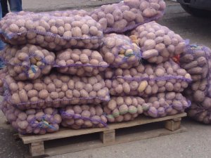 Фото: У Полтаві проходить "ярмарок вихідного дня" (фото)