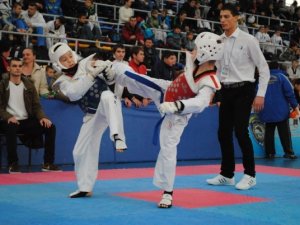 У всеукраїнському турнірі з тхеквондо в Полтаві господарі вирвали перемогу