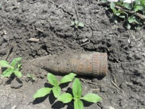 У полтавському парку знайшли боєприпас часів війни