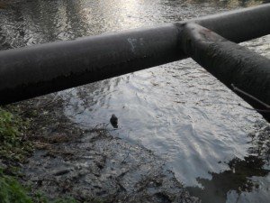 Фото: Під Полтавою "ЖЕО" нанесло державі збитку на 140 тисяч, забруднюючи річку
