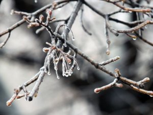 Негода та комунальники влаштували полтавцям справжній екстрим (фоторепортаж)