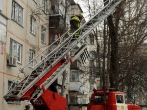 Фото: У Полтаві врятували кішку, яка кілька днів просиділа на дереві (+ фото)