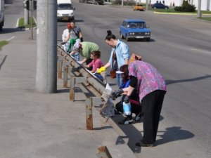 У Полтаві на суботнику пофарбували огорожі на дорогах (+фото)