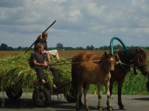 Фото: Уїк-енди по-селянськи, або Як журналіст "Кола" прожила день у глухому селі (+фото)