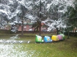 Фото: Перший сніг у Полтаві: на квіти, зелене листя й ошелешених перехожих (фото)