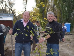 У Полтаві викорчували дерева та продовжили будівництво скандальної заправки на Дублянщині (фото)