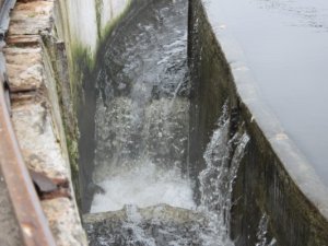 Яку воду Полтава  зливає  у Ворсклу та Коломак