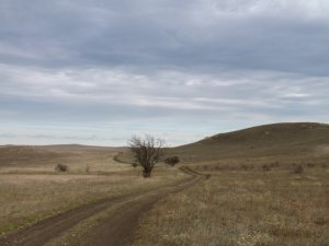 Враження полтаців від відпочинку в Криму (фото)