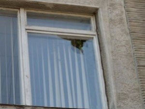 Фото: Полтавець розбив вікно будівлі телеканалу "Лтава" і не може пояснити навіщо